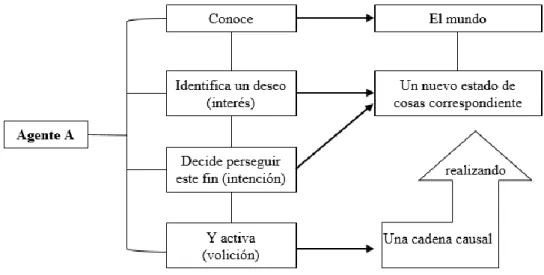 Figura 4  Ontología de la acción  Adaptado de Greco Morasso (2008) 
