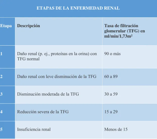 Tabla 2. Clasificación estadios ERC según la TFG. National Kidney Foundation (10) 