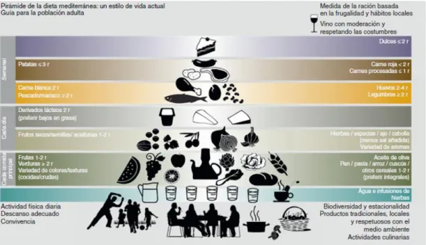 Ilustración 1. Pirámide de la dieta mediterránea confeccionada por la Fundación Dieta Mediterránea de Barcelona  (edición 2010)