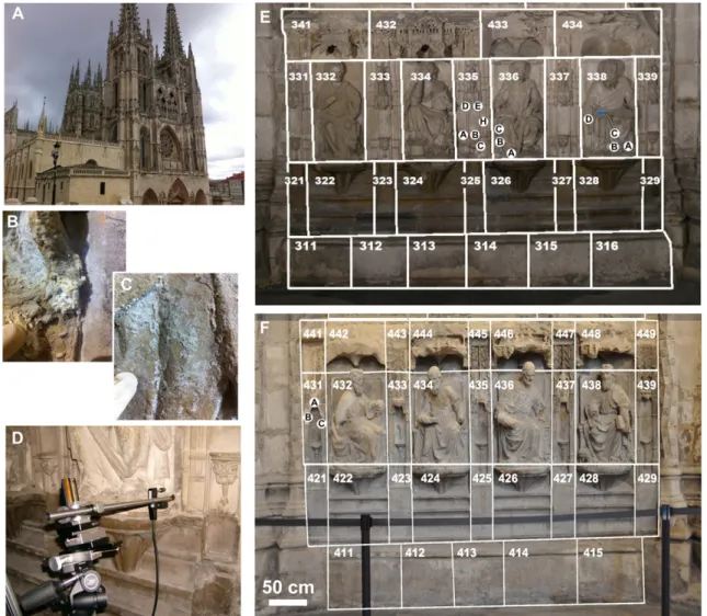 Fig. 1. A. General view of Burgos Cathedral; B, C. Efﬂorescences and ﬂaky mineral patina on the retro-choir surface; D