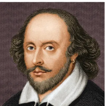 Figure 7. Shakespeare 2 (William Shakespeare, 2017) 