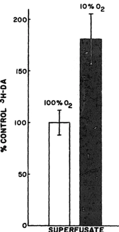 Fig. 1.  Increased  release  of  [3H]DA from rabbit carotid bodies exposed  to low  02