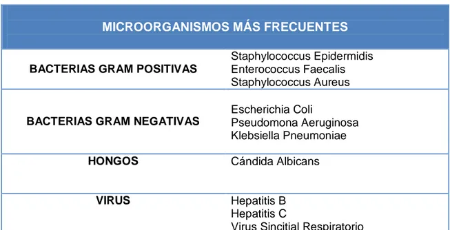 Tabla  1.  Fuente:  Epidemiología  general  de  las  infecciones  nosocomiales.  Sistemas  y  programas  de  vigilancia