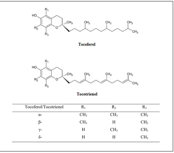 Figura 2.1. Estructura de las distintas moléculas que se incluyen en el término de la vitamina E