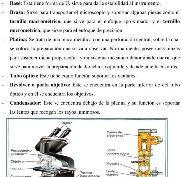 Figura 1. Descripción de las partes del microscopio óptico.  