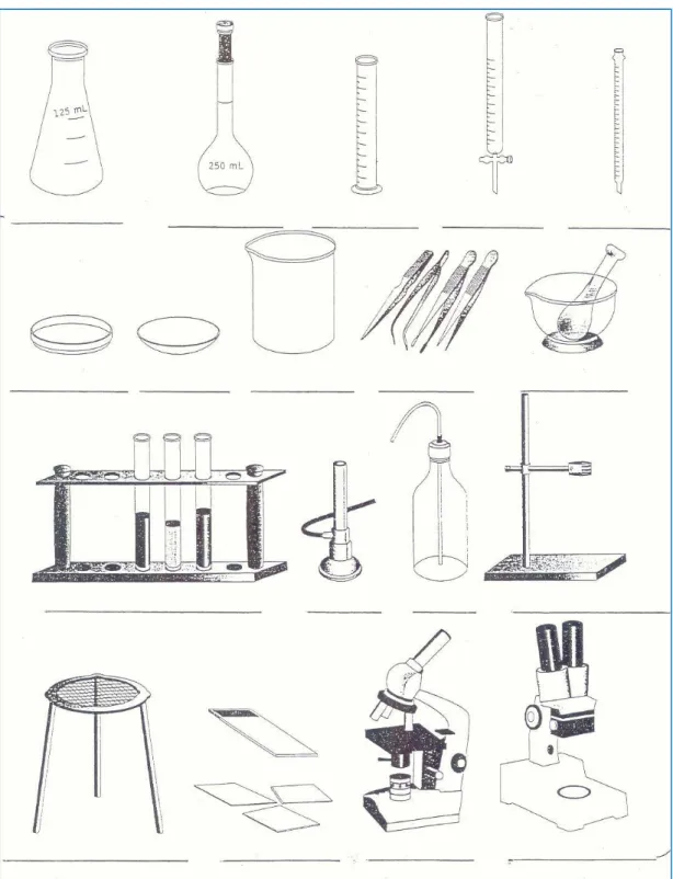 Figura 3. Material básico de laboratorio. 