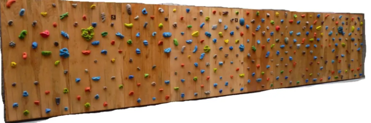 Figura 15: Boulder del gimnasio. 