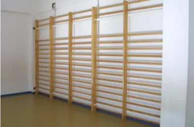 Figura 16: Espalderas. 