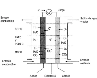 Fig .  4 .  Rea cc ion e s de  lo s  difer e nte s  tip os  de  pila s  de comb u stible 