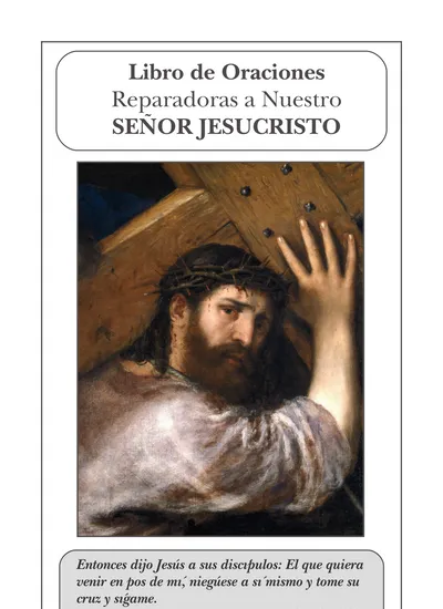 ACTO DE CONTRICIÓN PARA TODOS LOS DÍAS - Ejercicio De Los 33 Pasos De ...