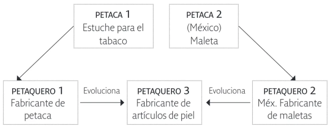 Figura 9. Evolución del término petaquero