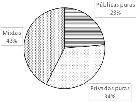 Gráfico 6: