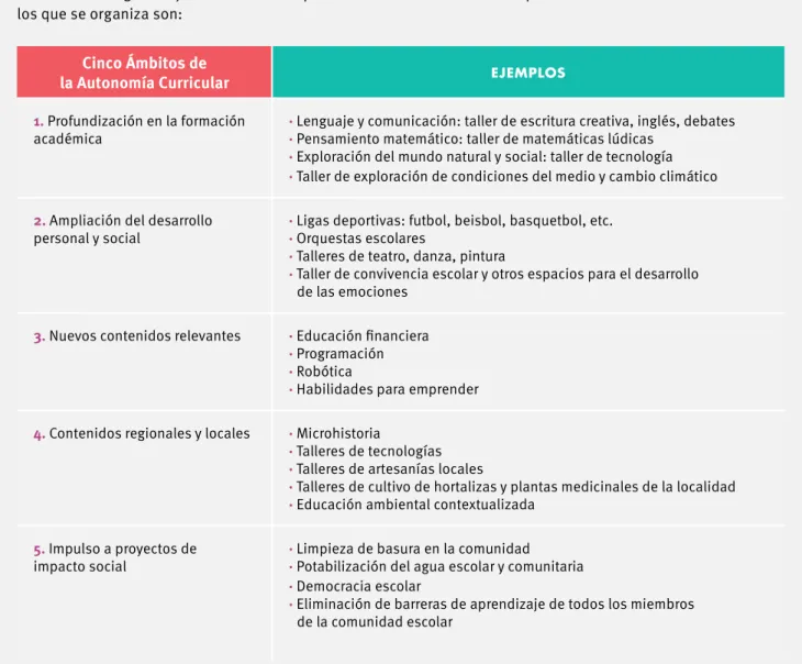 CUADRO 4. AUTOnOMíA CURRICULAR En LA EDUCACIón báSICA