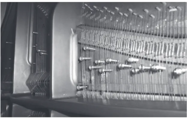 FIGURA 2.1. Tornillos introducidos en las cuerdas del registro superior del instrumento