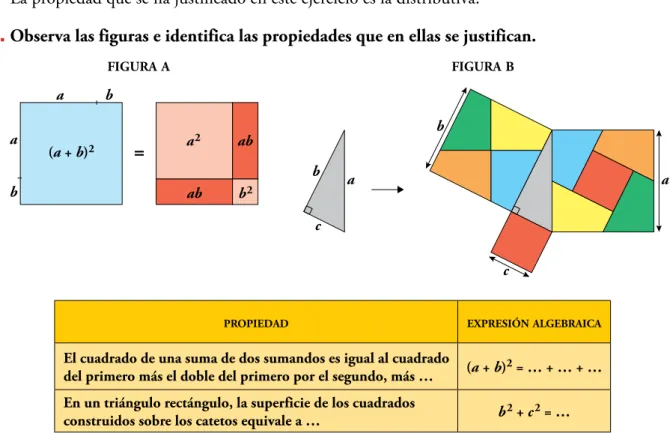 figura a figura b b baa =(a + b)2 b 2aba2ab            bb cc aa