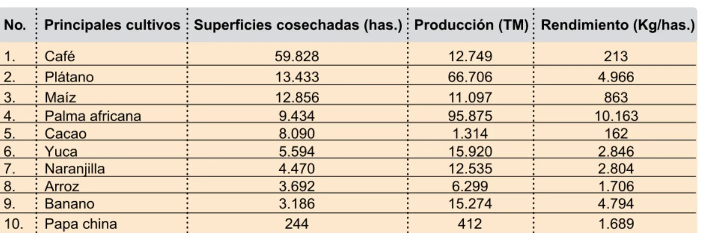 Cuadro 6. Producción de los cultivos en la RAE No.