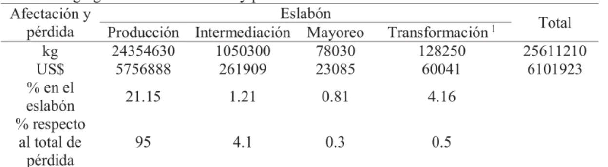Tabla 1. Agregación de afectaciones y pérdidas.  Afectación y 