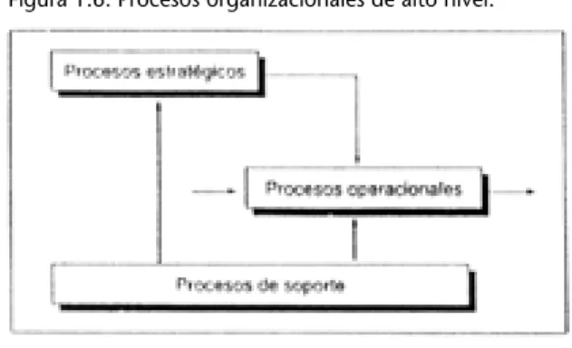 Figura 1.7. Niveles de los procesos.