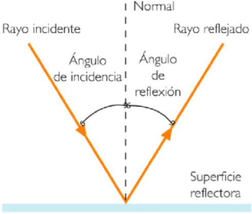 Figura 8: Reexión.