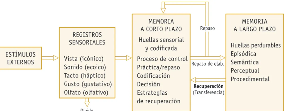 Fig. 7.5.  Modelo estructural de la memoria en tres etapas, según Atkinson y Shiffrin (1968).