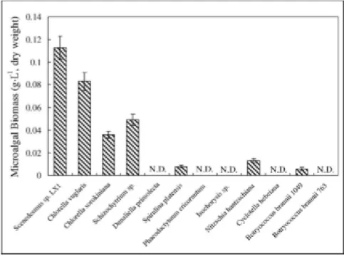 Figure 7 - Comparison of microalgal biomass biomass after 15 days of  cultivation in secondary effluent