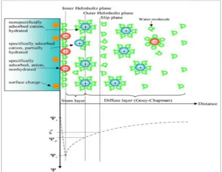 Figure 11- Structure of electrical double layer, with the  corresponding potential distribution with distance from a charged wall
