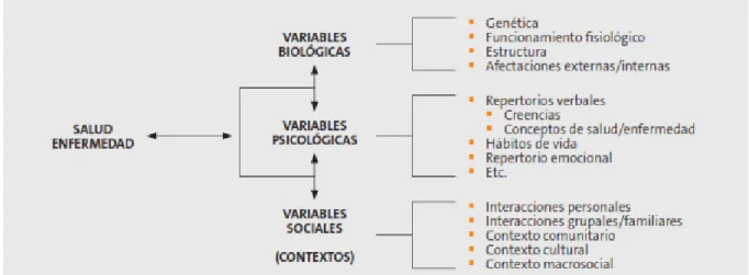 Cuadro 3: Modelo Biopsicosocial 