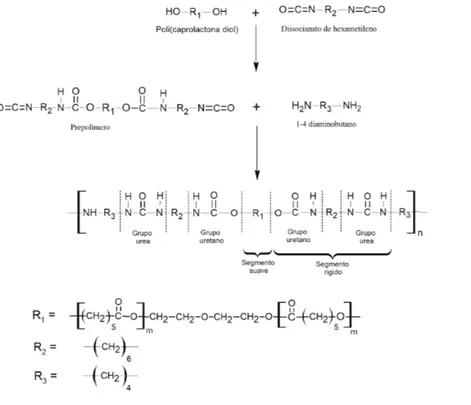 Figura 1. Esquema de la síntesis para  obtener Poli(uretano urea) segmentados,  mediante la técnica de prepolímero  (Guan et al., 2004; May et al., 2011) 