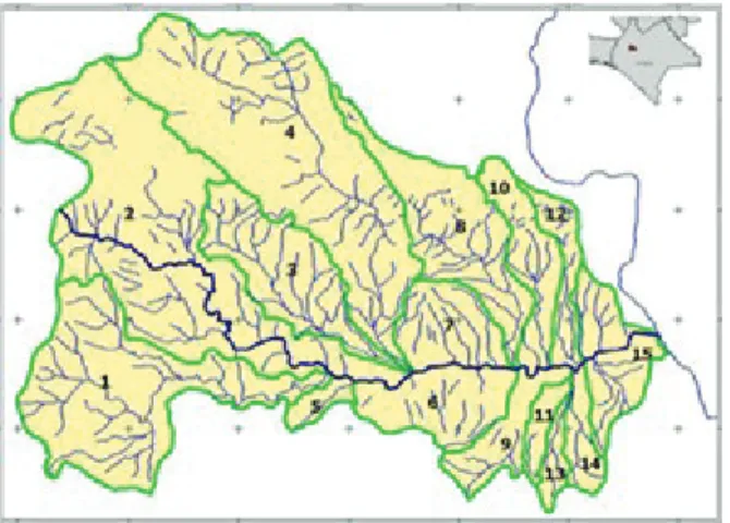 Figura	4.	Sistema	de	drenaje	de	la	cuenca	del	río	Sabinal	