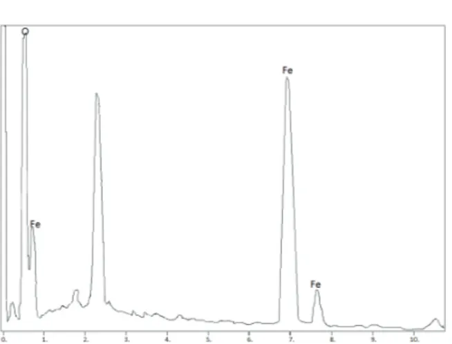 Figura	7.	a)	ensayos	EDX	sobre	muestras	corroídas	y	b)	presencia	 de	Magnetita