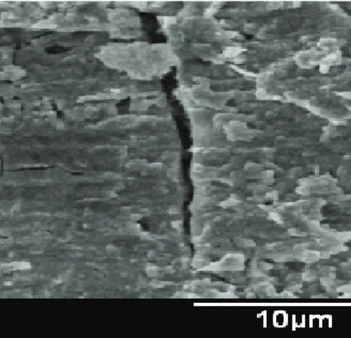 Figure	5.	AES	analysis	of	SEM	at	10X	 evaluated	in	three	points	of	ECC	of	CS	 exposed	six	months	at	Mexicali