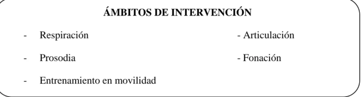 Figura 10. Ámbitos de intervención 