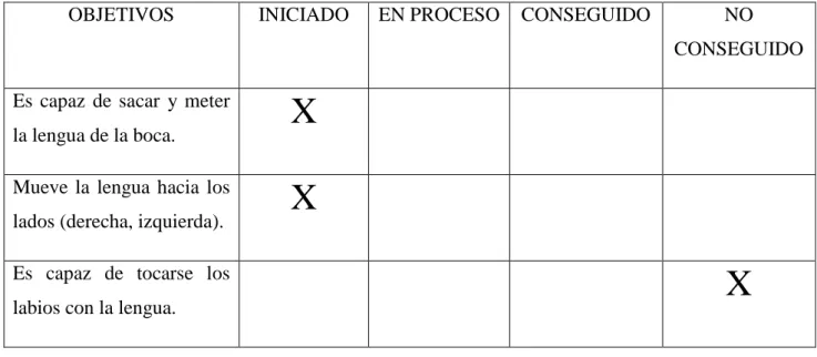 Tabla 3. Hoja de Registro de Observación para la Evaluación. 