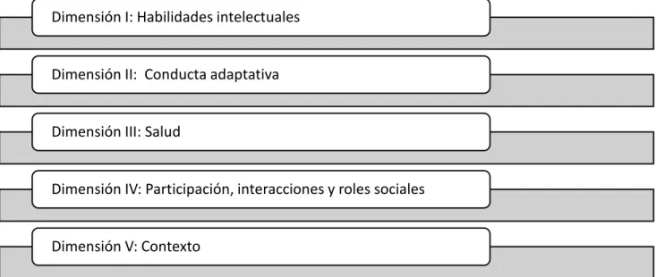 Figura 5: Dimensiones de la Discapacidad Intelectual  