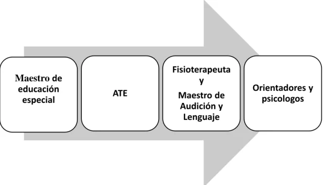 Figura 8: Esquema de equipos multidisciplinares  