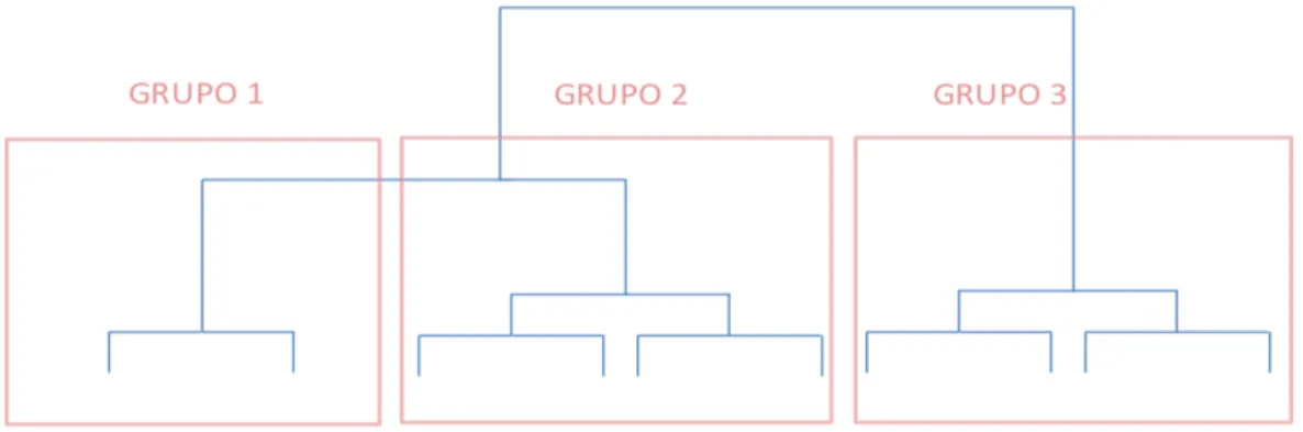 Gráfico 3. Dendrograma simplificado año 2007 
