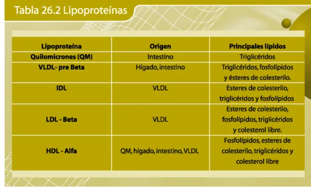 Tabla 26.2: Lipoproteínas. 