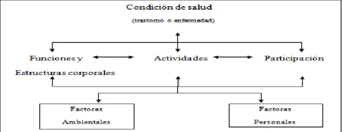 Figura 3. Interacciones entre los componentes de la CIF. (OMS, 2001).  Las definiciones de los principales términos que utiliza la CIF son las siguientes: 