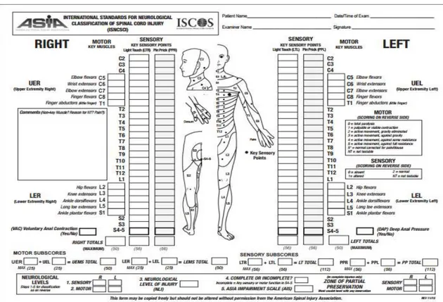 Figura 8: Clasificación de la Lesión Medular según ASIA. 