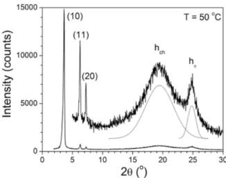 Figure 5. SAXS pattern of CN-TriPh recorded in the Col hex phase (T = 50 °C) 