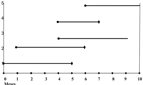 Figura 1.- Ejemplo de seguimiento de 5 individuos 