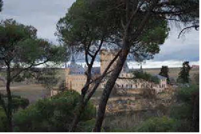Fig.  35  El Pinarillo   