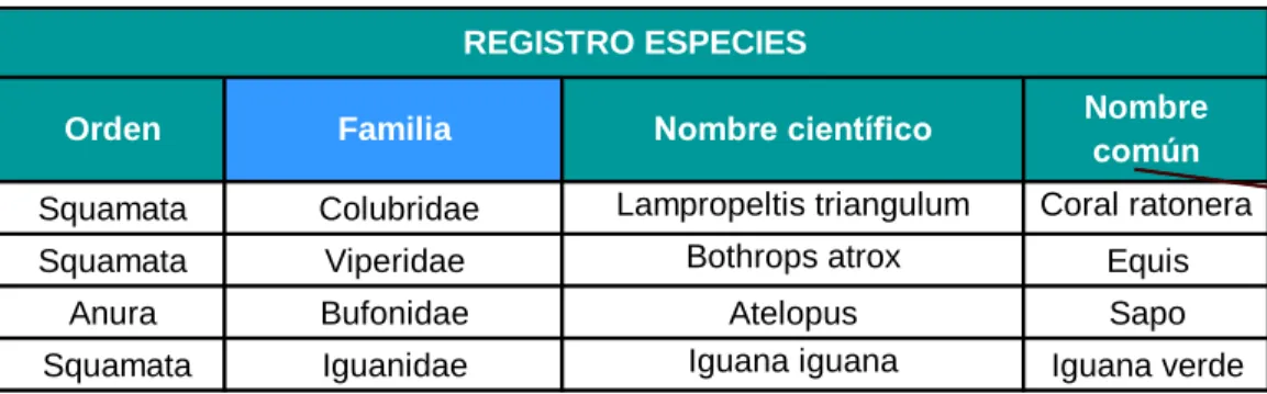 Tabla 10: Herpetofauna reportada. 