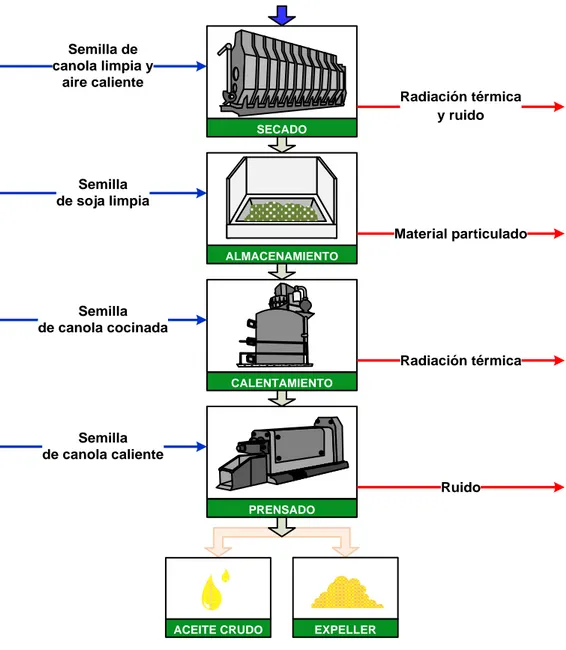 Gráfico 2.9 Diagrama de extracción de aceite de canola 