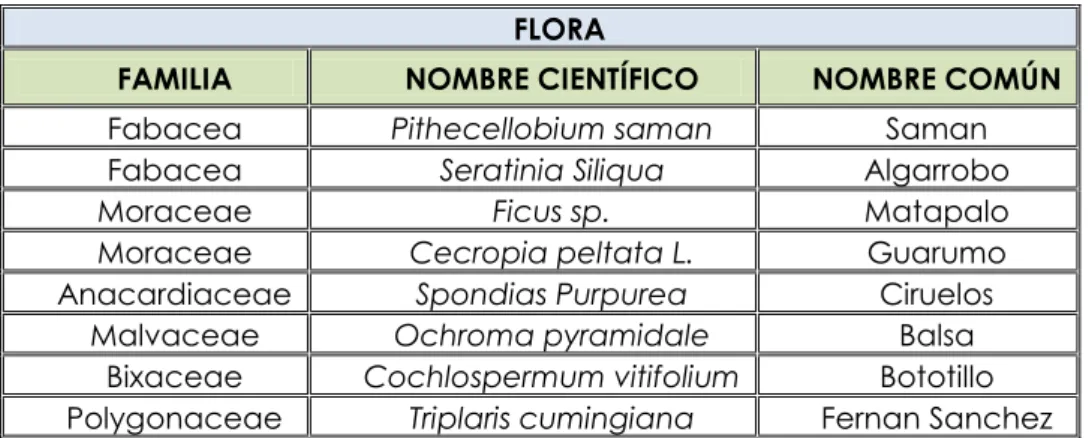 Tabla 9.IDENTIFICACION DE   ESPECIES DE FLORA 