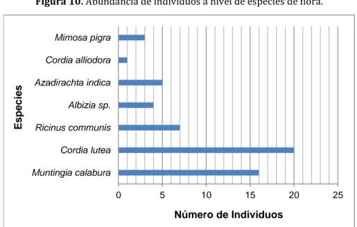 Tabla 18. Área Basal e Índice de Valor de Importancia para las especies de flora.  Nombre científico  AB  IVI 