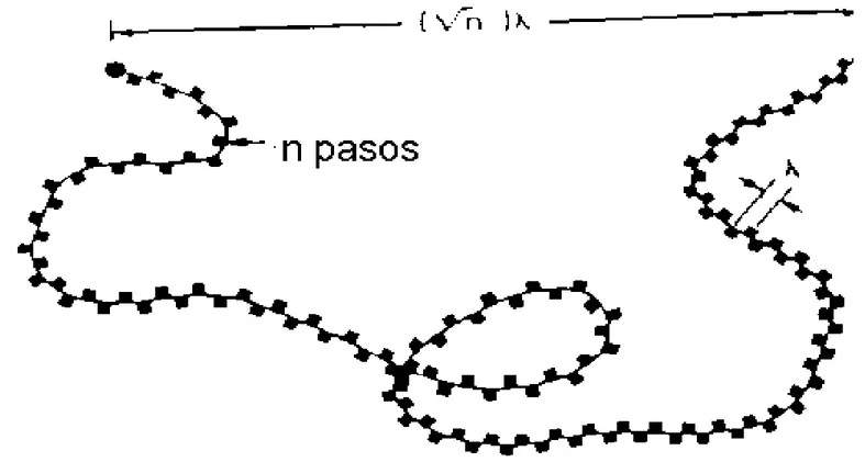 Figura 8.4 Estructura de las cadenas poliméricas lineales.