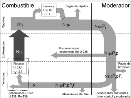 Figura 1.1: Ciclo neutr´onico.