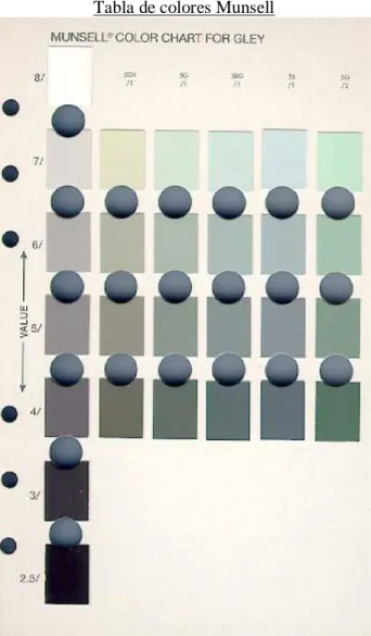 Tabla de colores Munsell 