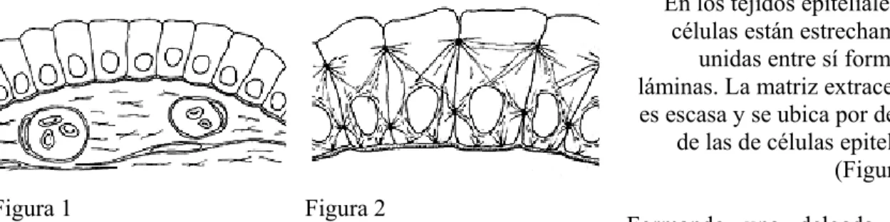 Figura 1  Figura 2 